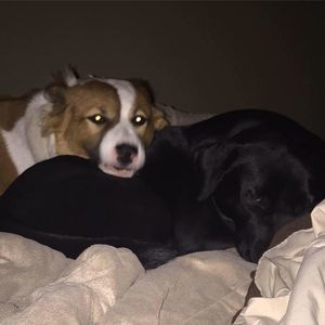 Meet your Posher, Gary